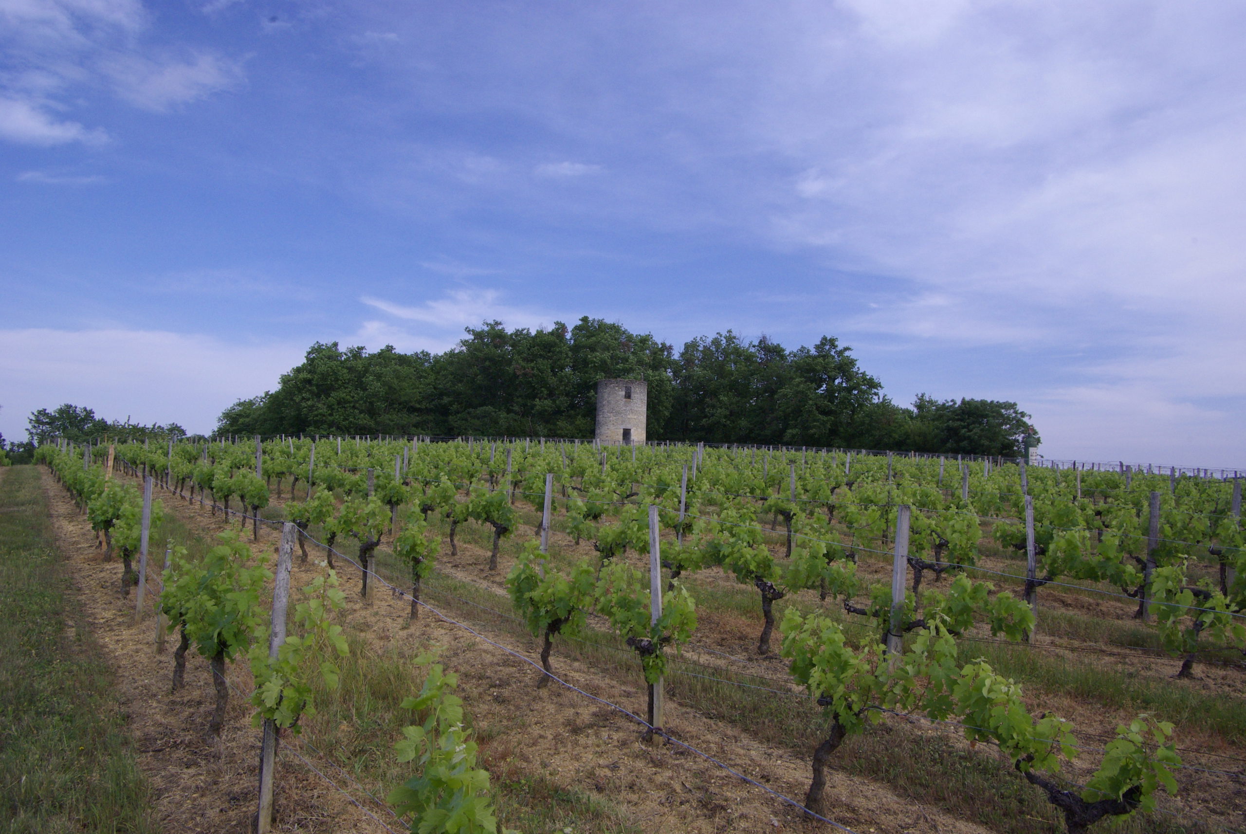Château Tour Birol