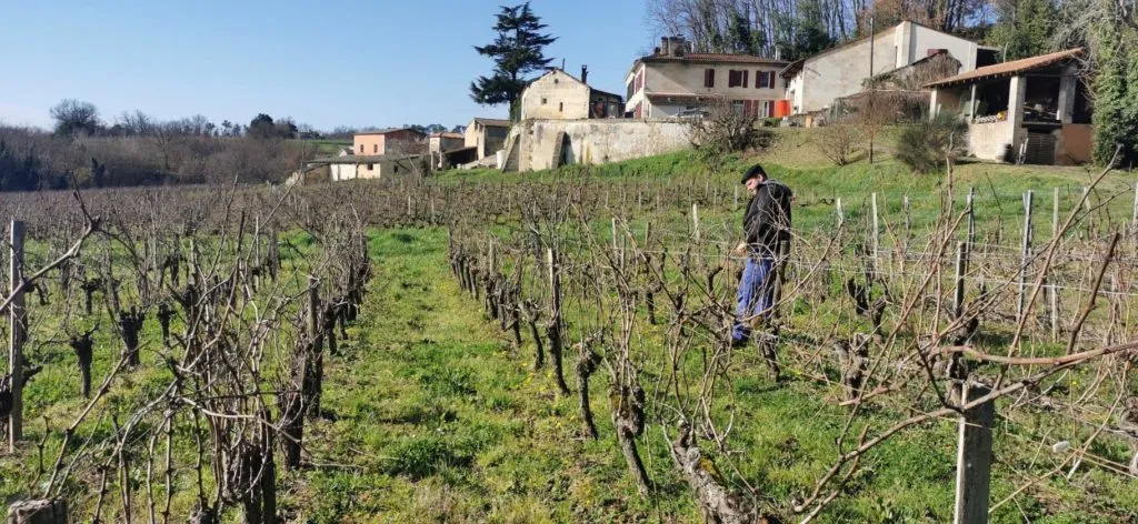 Château Tour Birol — photo 8