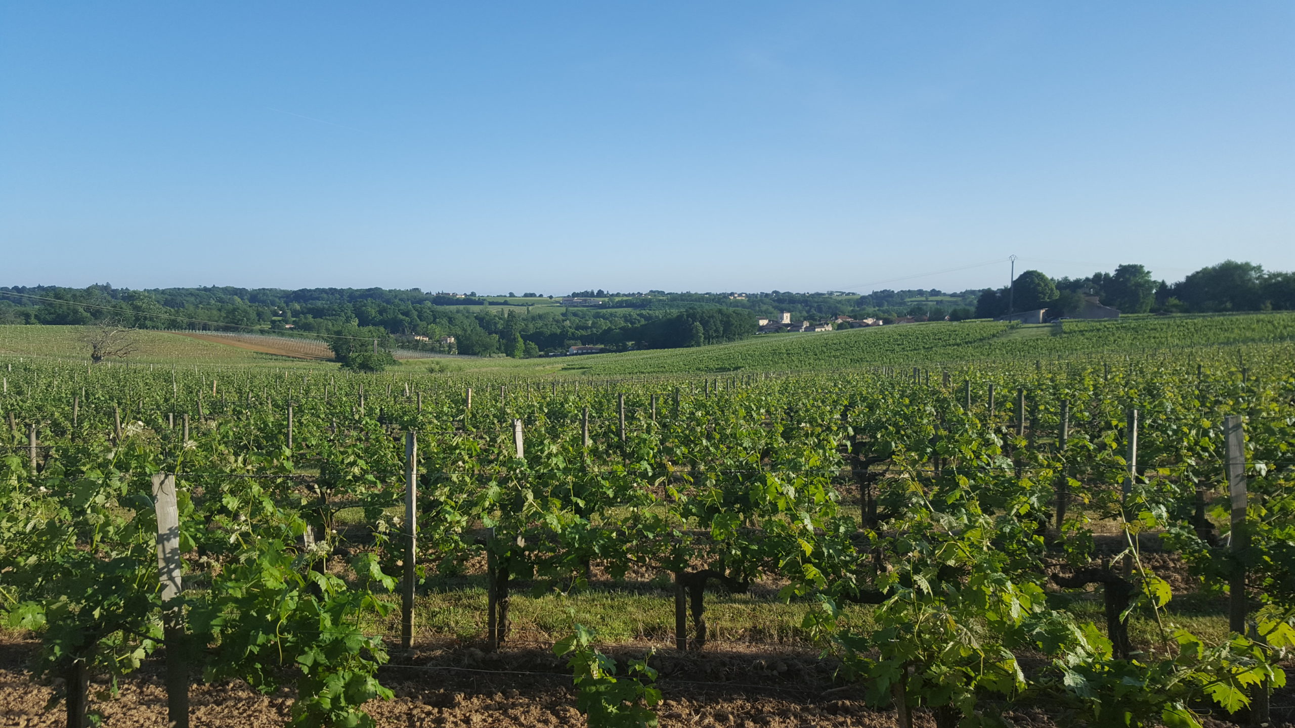 Château Tour Birol