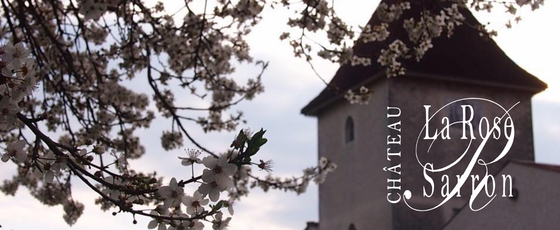 Château La Rose Sarron — photo 2