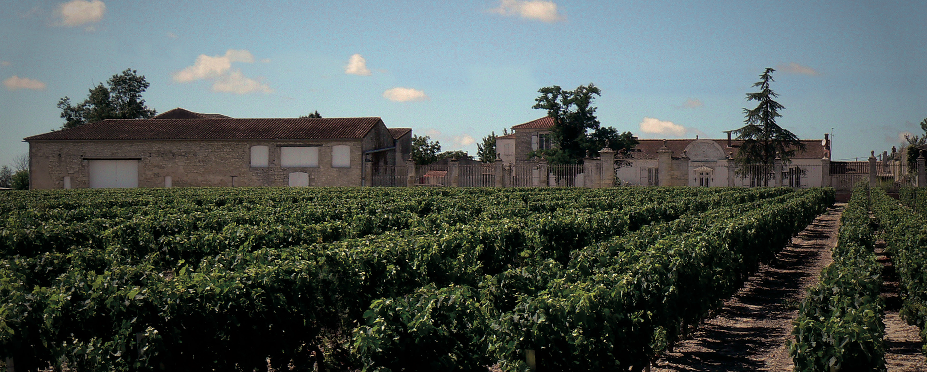 Château Saint-Aubin — photo 10