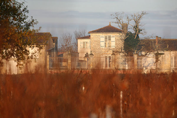 Château Saint-Aubin