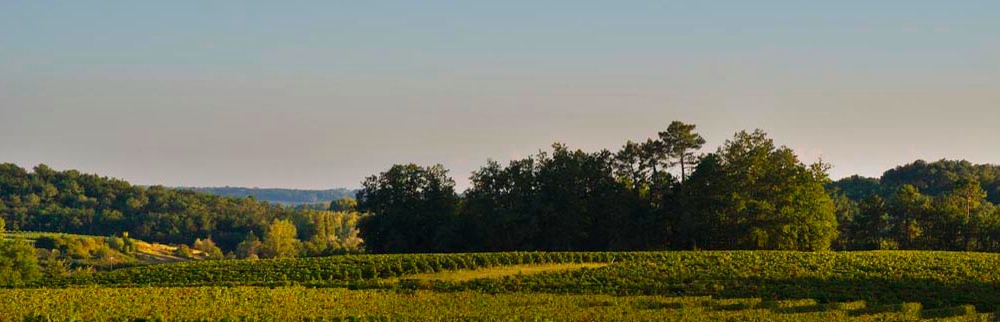 Château Petit Fombrauge — photo 9