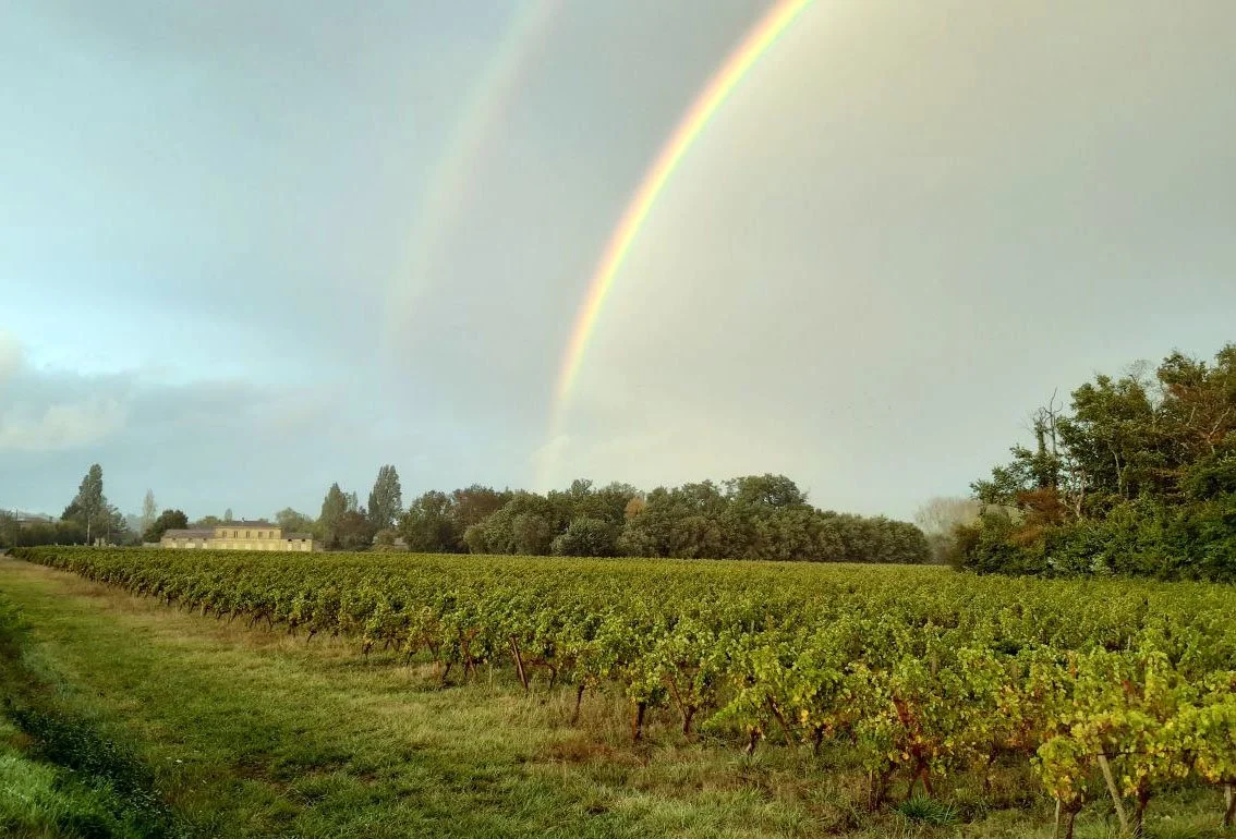Château la Croix de Pawlowski - Côtes de Bourg