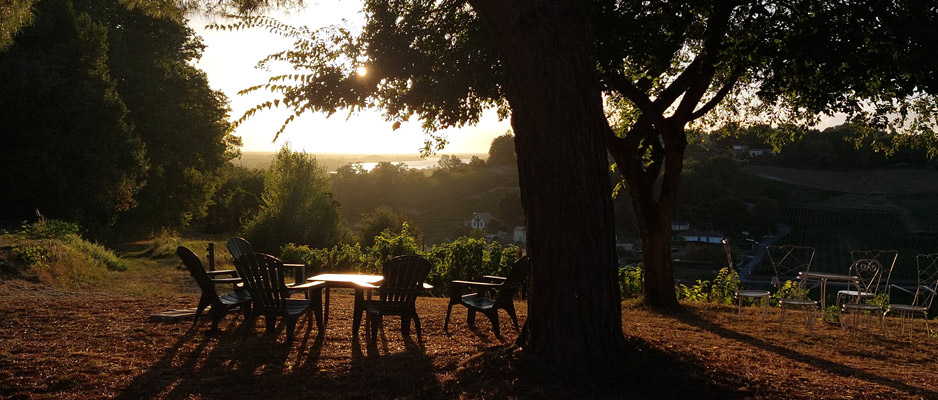 Château Cassagne Haut-Canon — photo 11