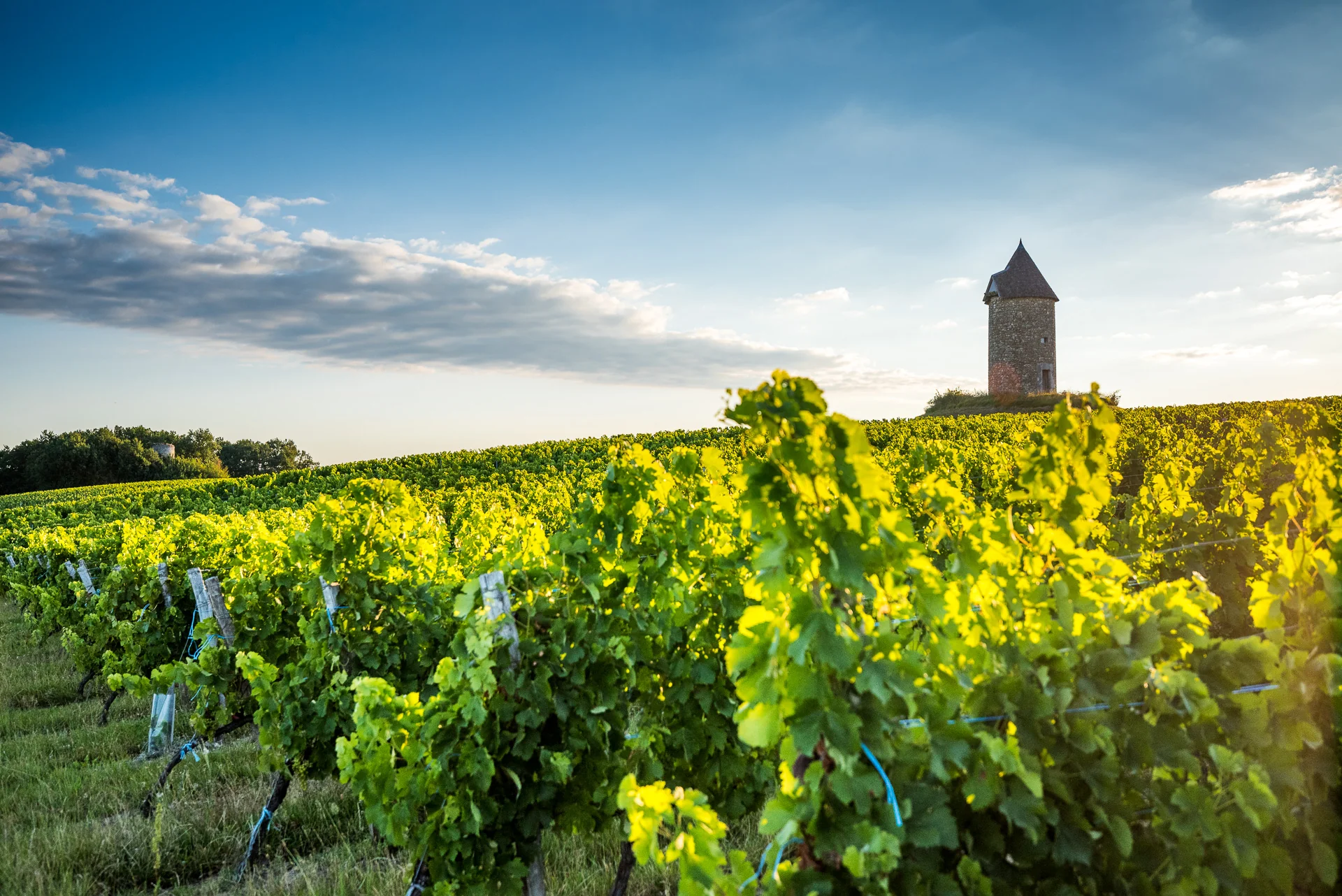 Château Martet