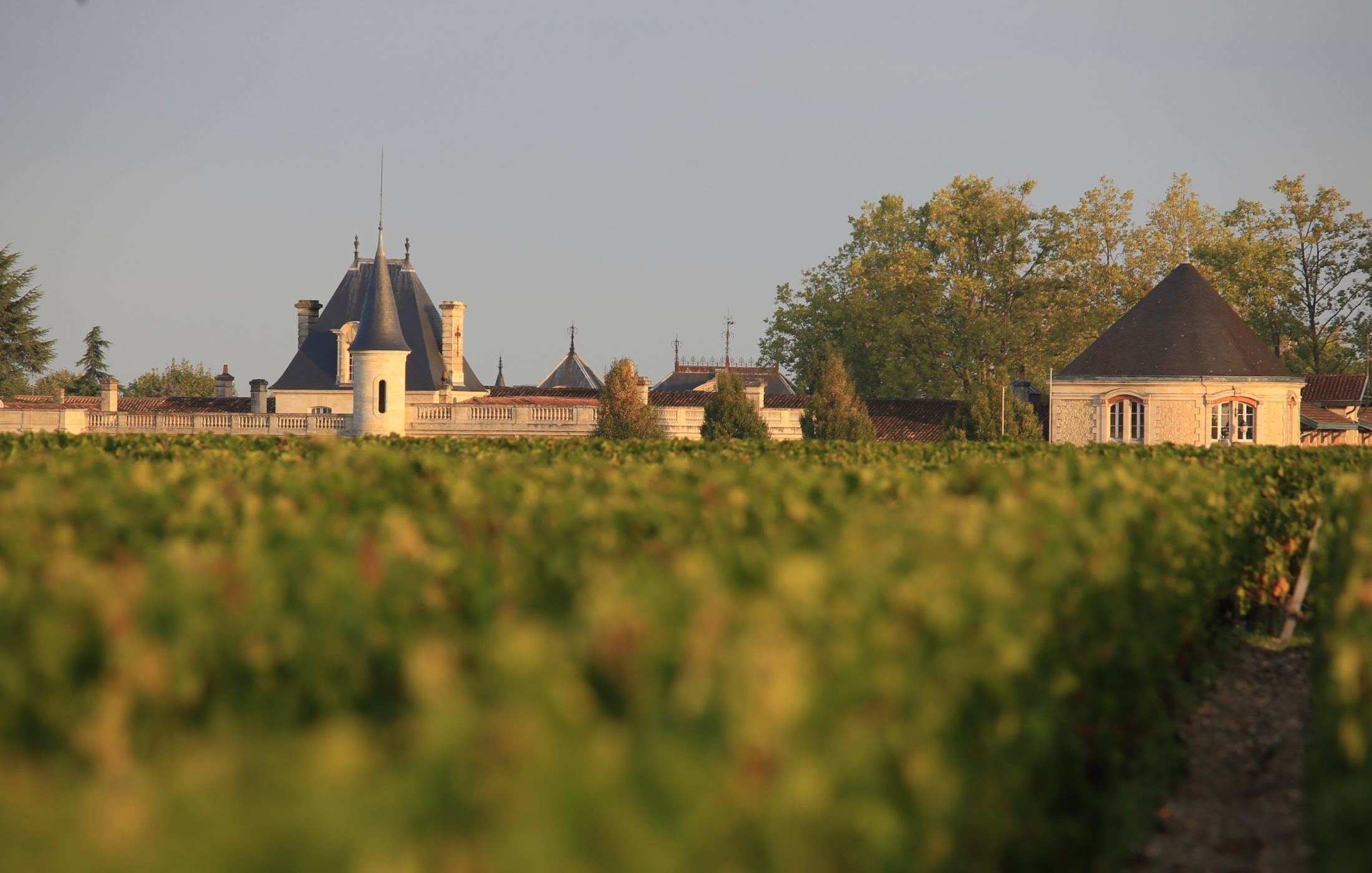 Château Durfort-Vivens - Margaux