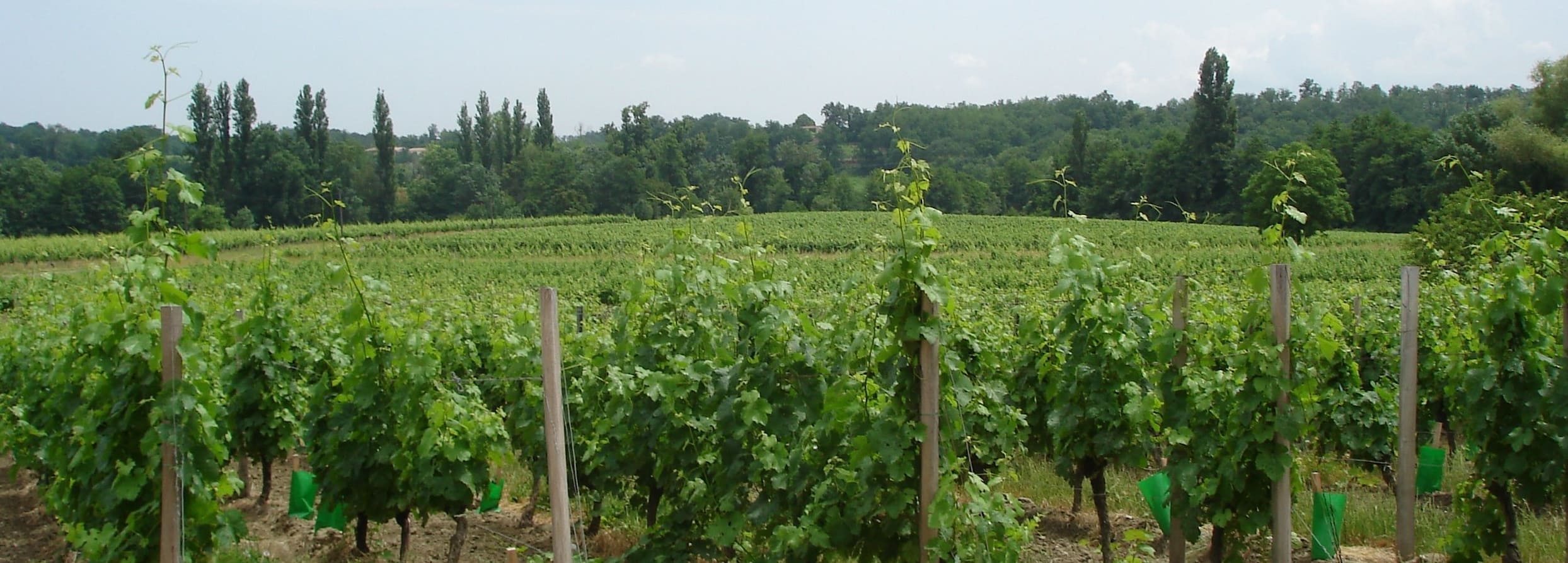 Château de l'Anglais