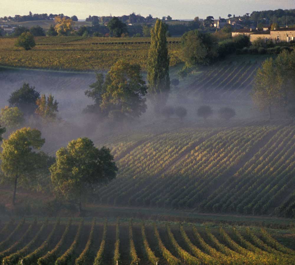 Château la Carelle