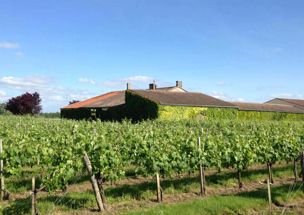 Château la Carelle