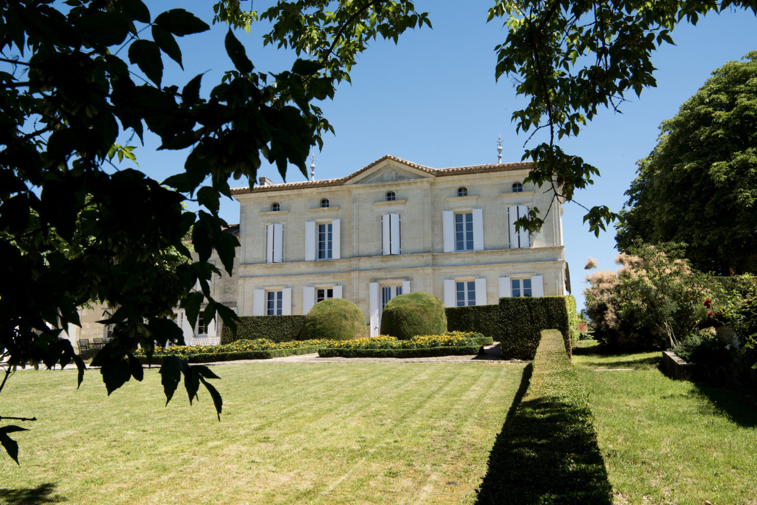 Vignobles Hermouet - Fronsac