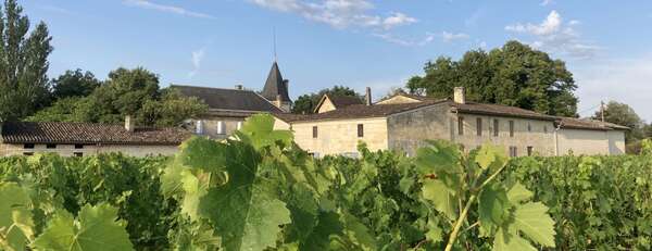 Château Gueyrosse — photo 9