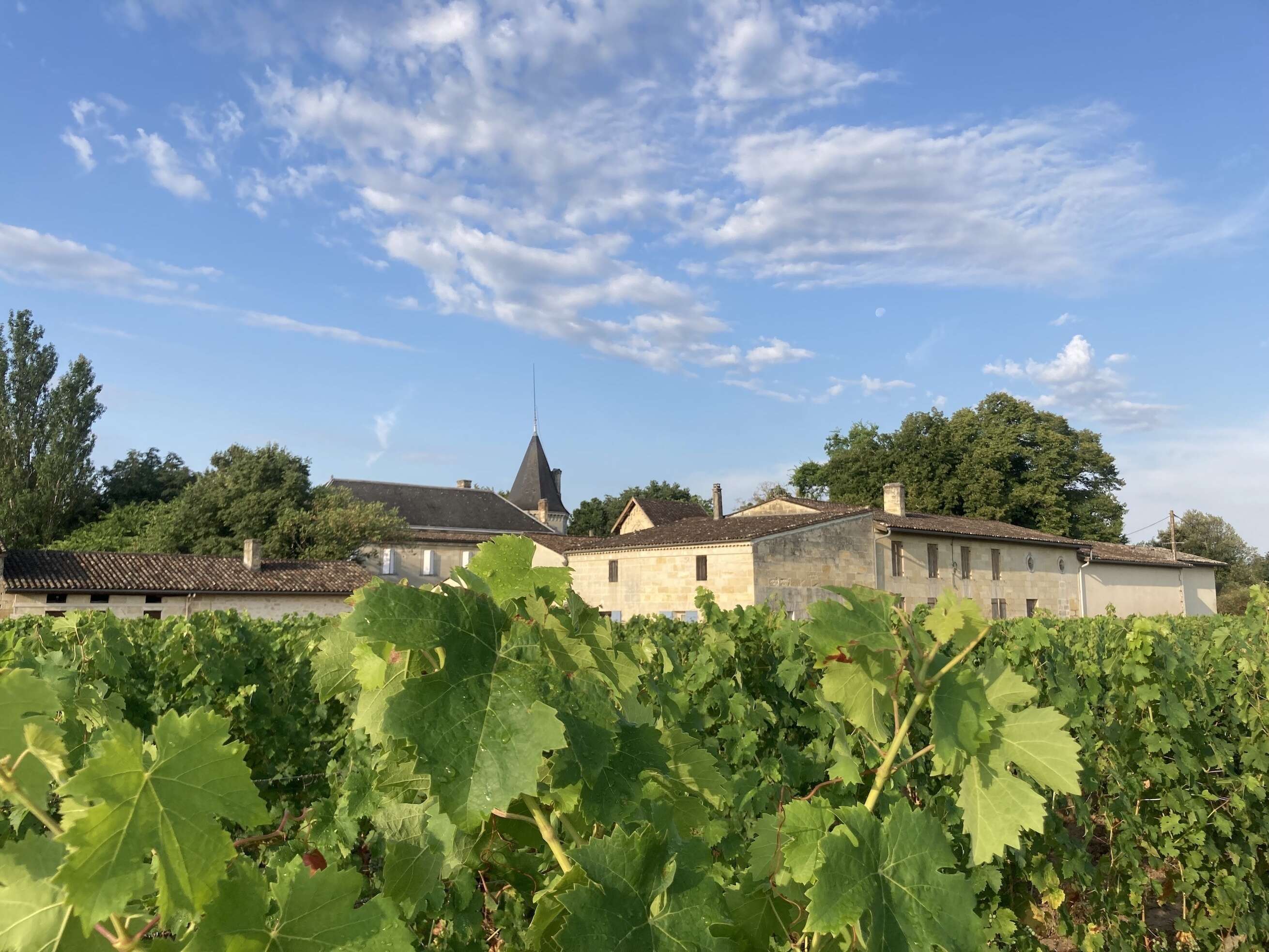 Château Gueyrosse - Saint-Émilion Grand Cru