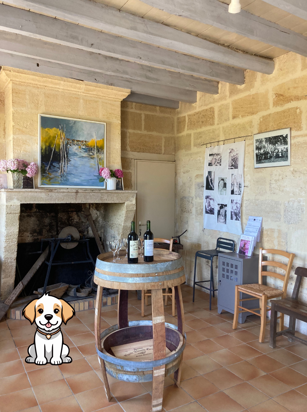 SAINT EMILION WELCOMES DOGS DURING THE VINEYARD TOUR