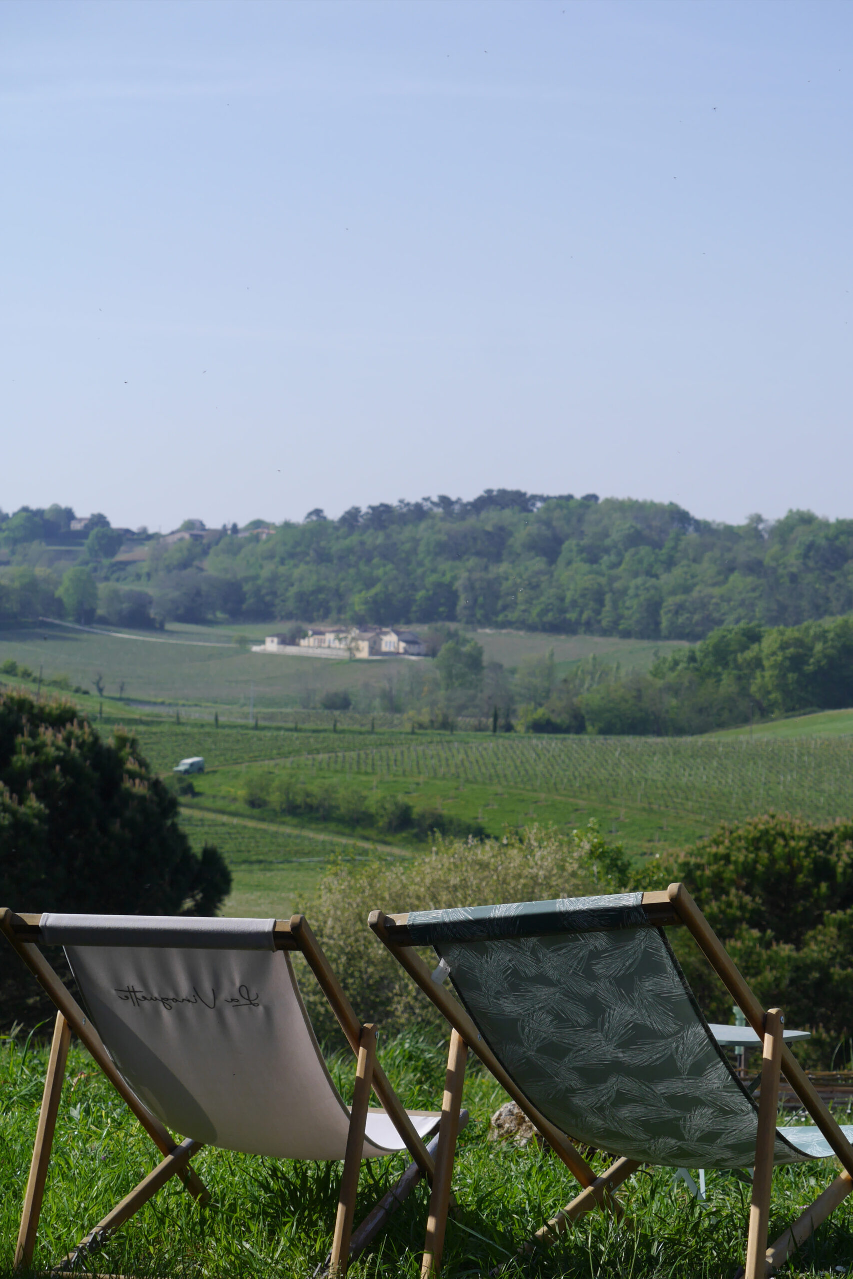 Château viticole à Blaye