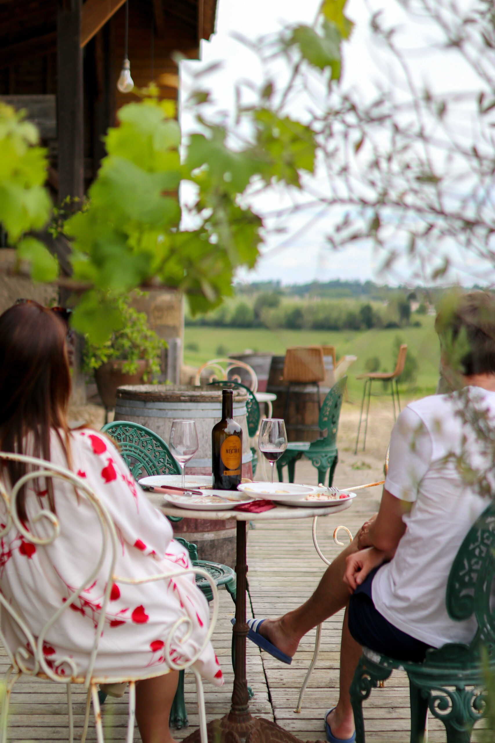 Château viticole à Blaye