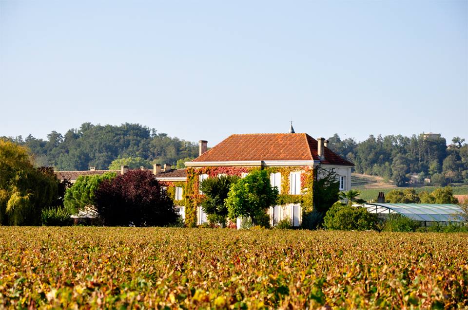 Château Piney — photo 2