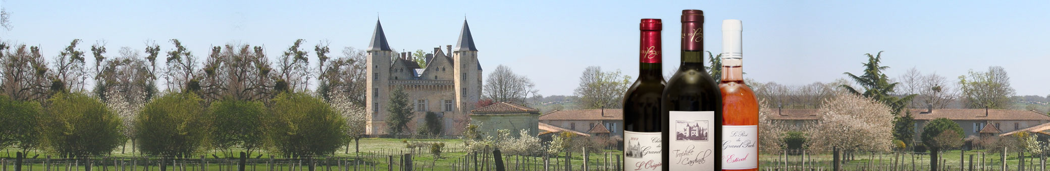 Château du Grand Puch — photo 2