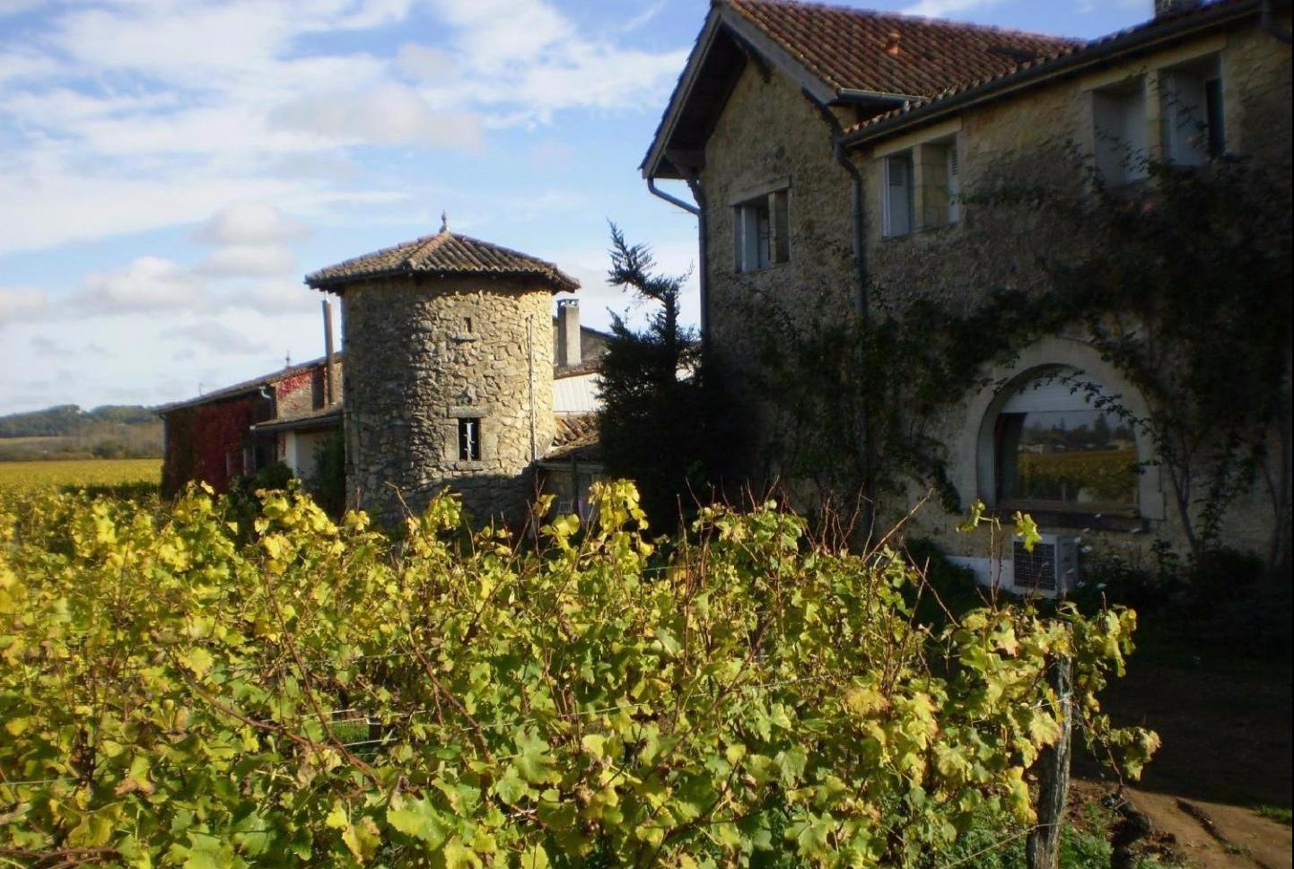 Visite et dégustation de vins&nbsp;Bordeaux&nbsp;
