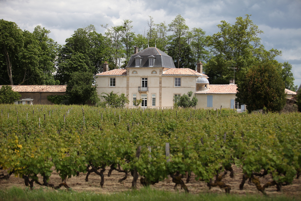 Château Guiteronde — photo 8