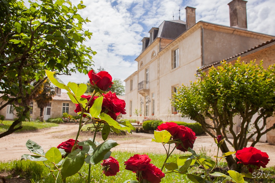 Château Guiteronde — photo 7