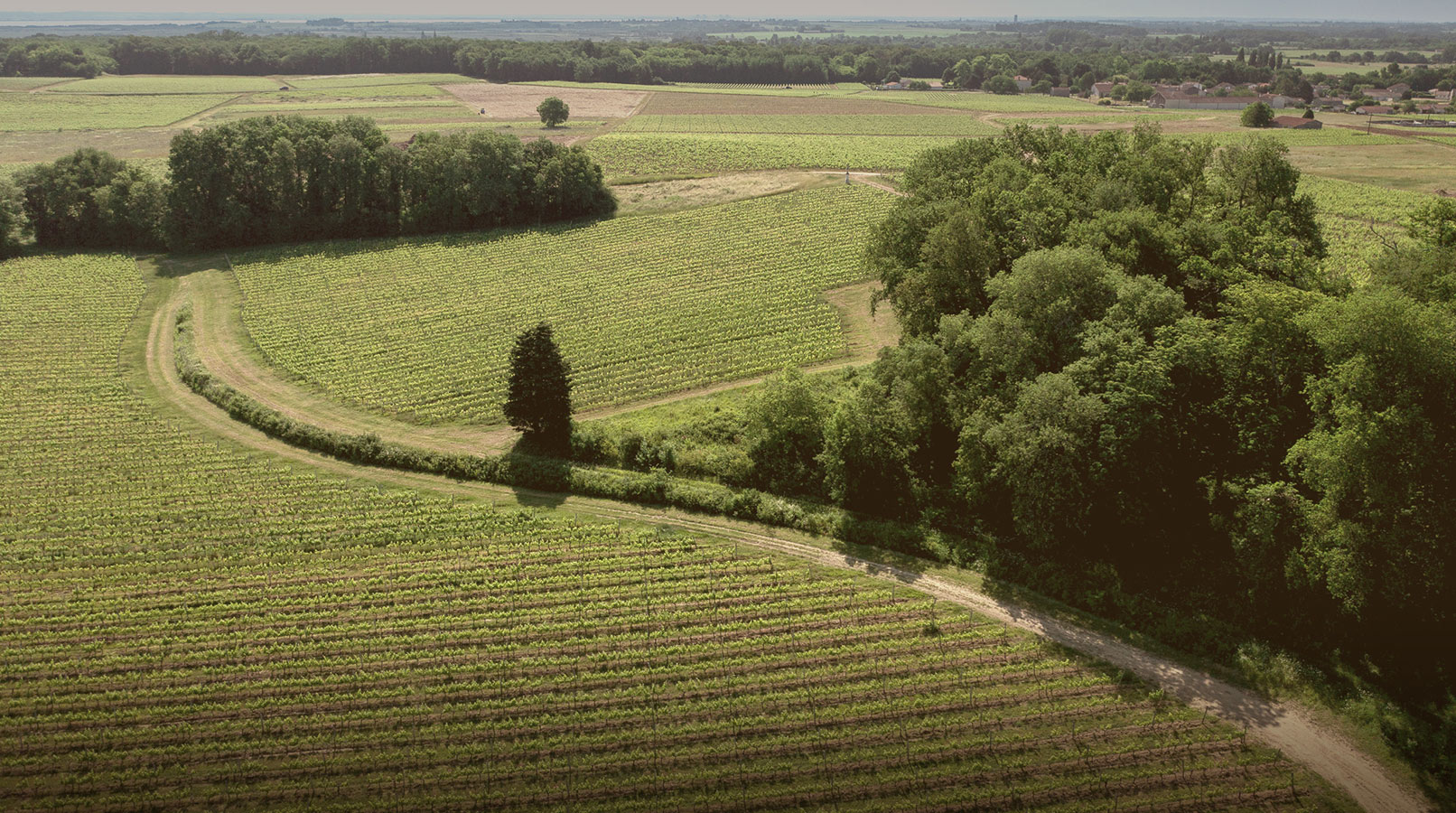 Château Saint Bonnet - Entre-deux-Mers