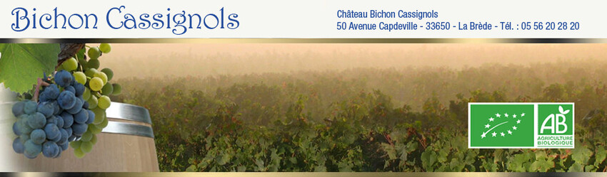 Château Bichon Cassignols — photo 2