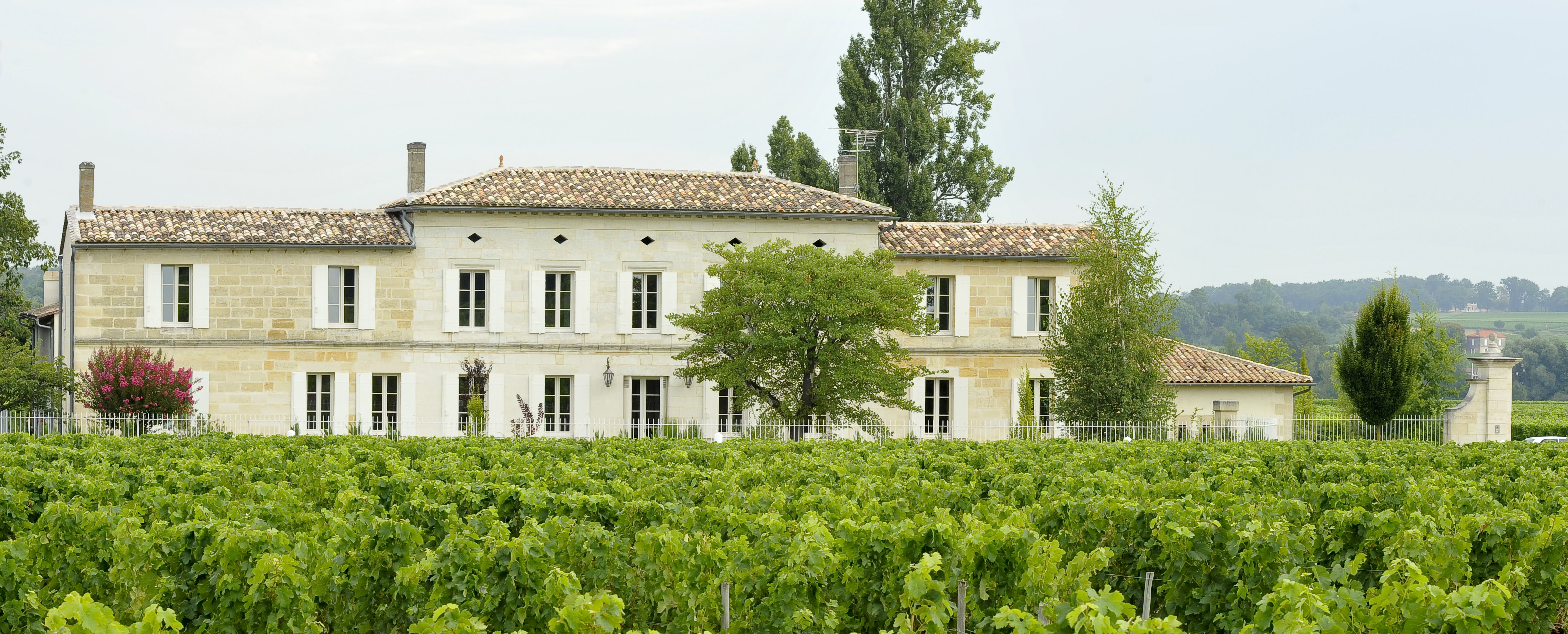 Château Grand Corbin-Despagne - Castillon Côtes de Bordeaux