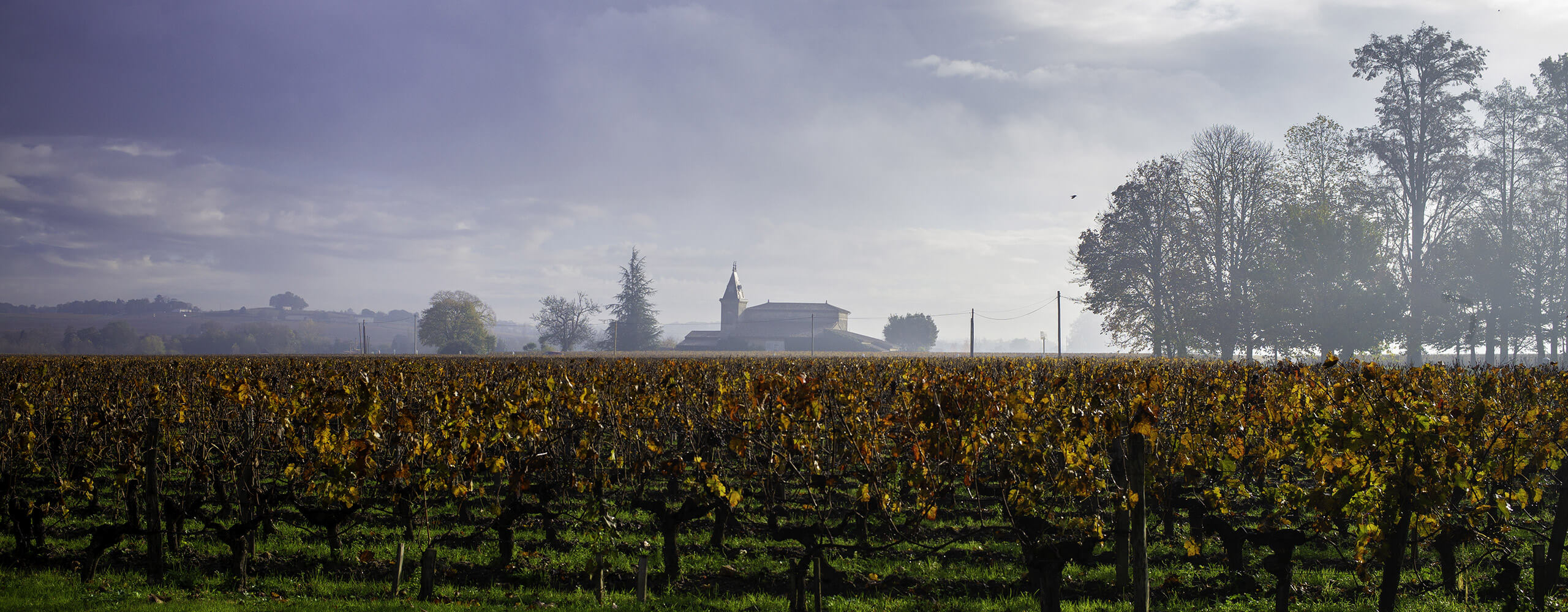 Château Grand Corbin-Despagne