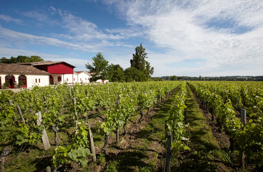 Château Grand Corbin-Despagne