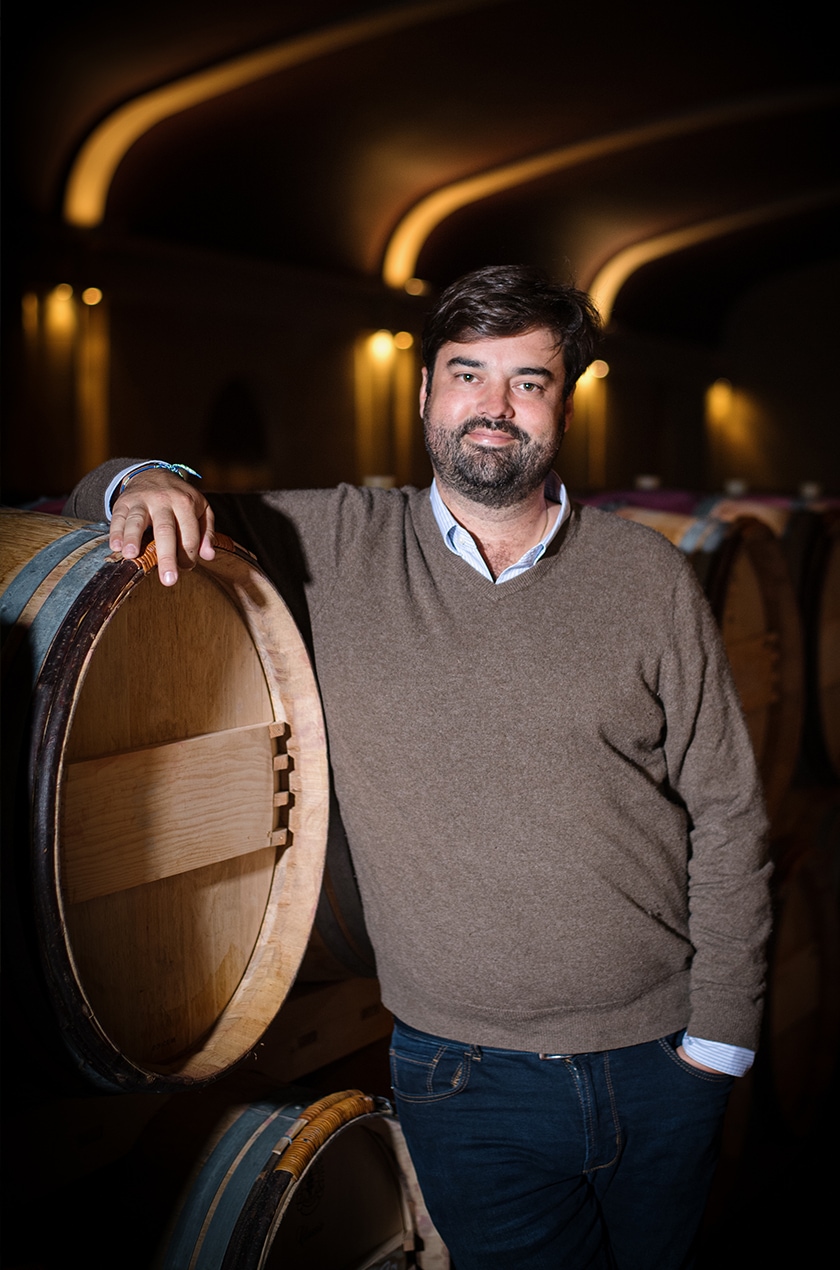 Domaine de Chevalier — photo 8