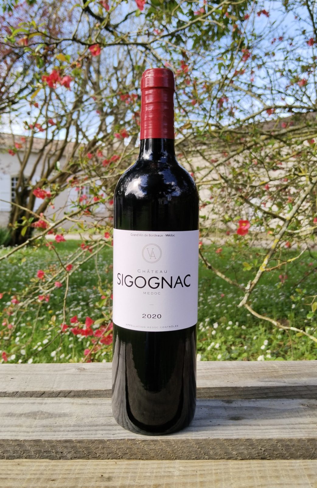 Château Sigognac — photo 5