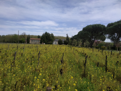 Château Calcis — photo 2