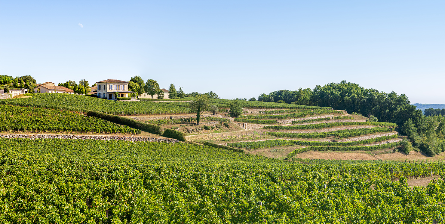 Château Tour Saint Christophe - Saint-Émilion