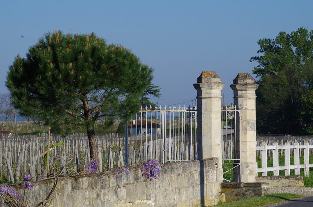Château Tournefeuille — photo 9