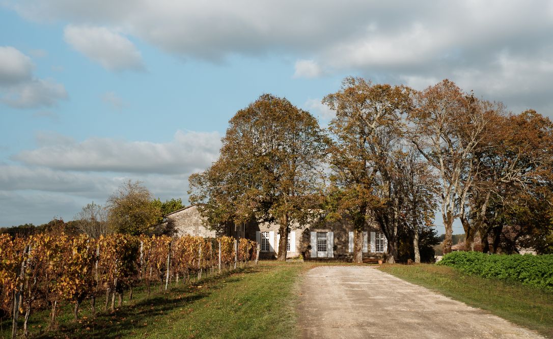 Château Teyssier — photo 6