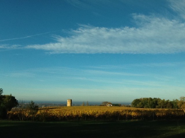 Moulin de la Bertrande au milieu des vignes