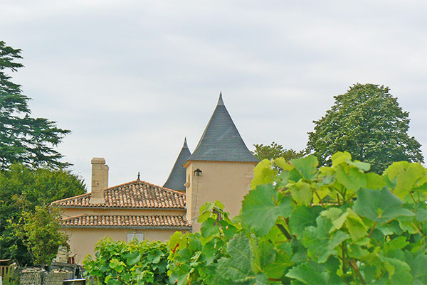 Tours Chateau La Bertrande - vignes