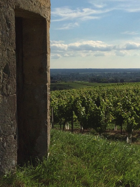 depuis le moulin