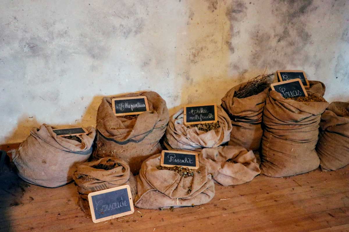 Château Climens — photo 2