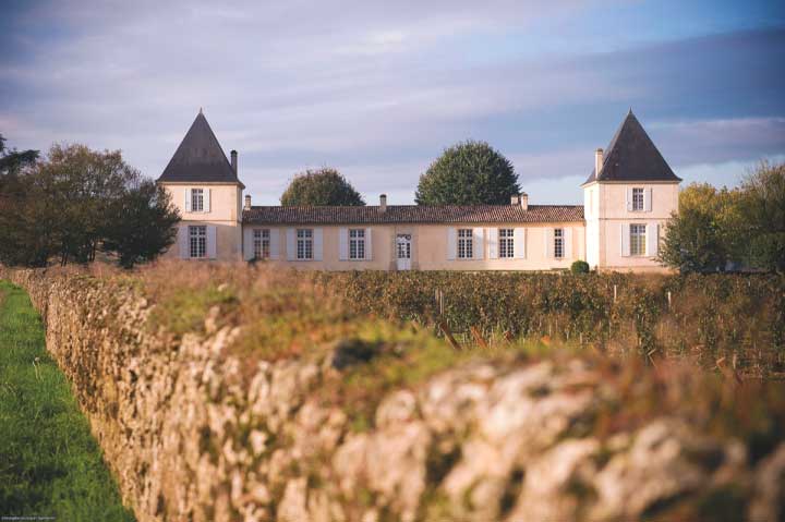Château Climens — photo 8