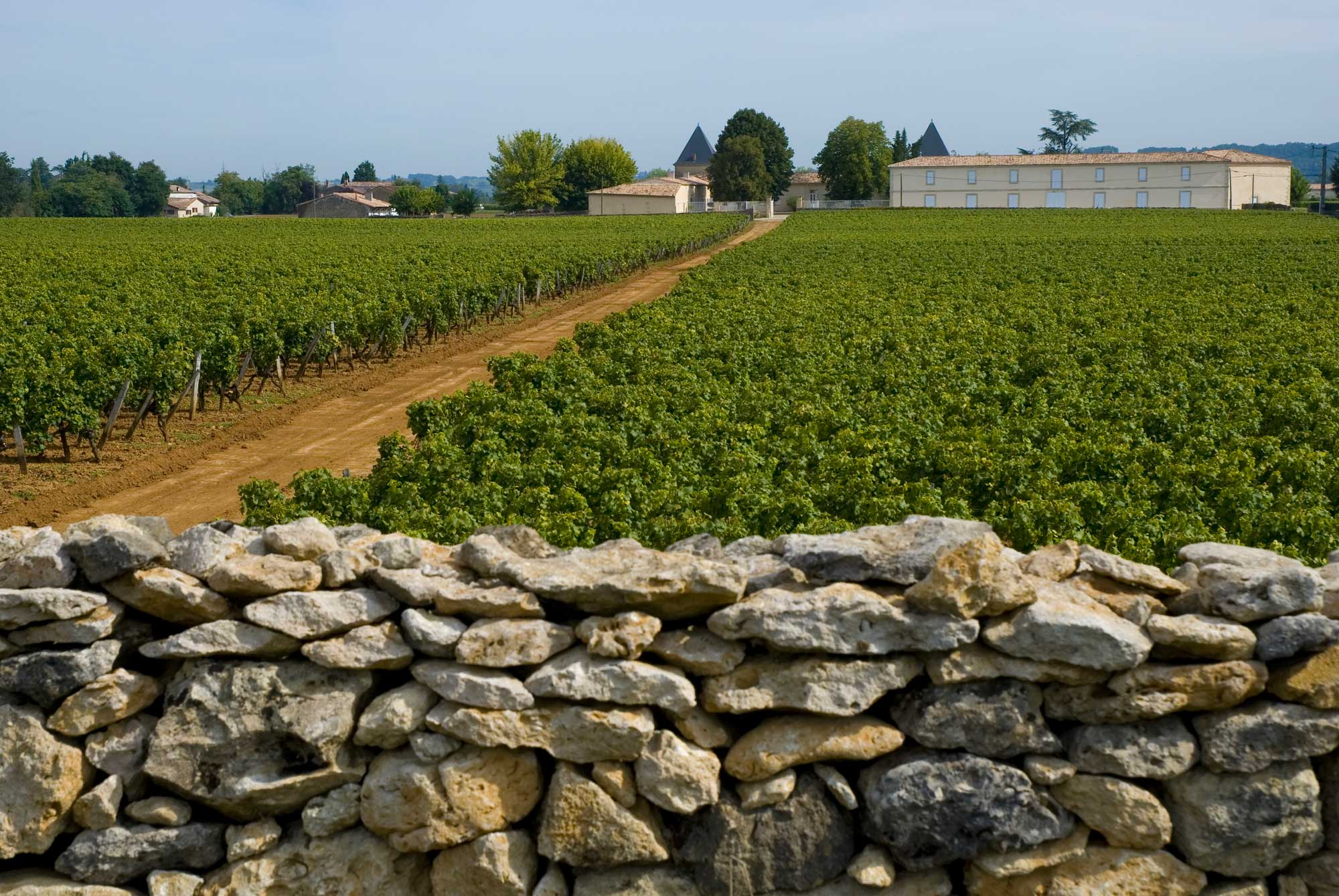 Château Climens — photo 5