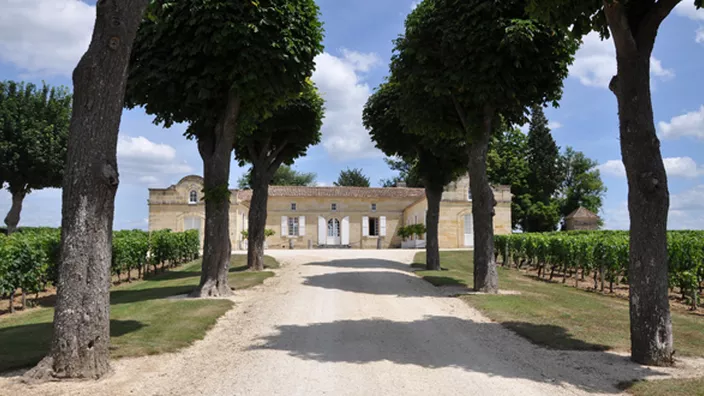 Château Trottevieille — photo 9