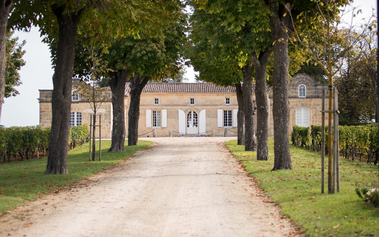 Château Trottevieille — photo 3
