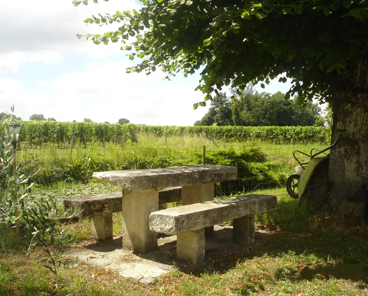 Château Toulifaut — photo 3