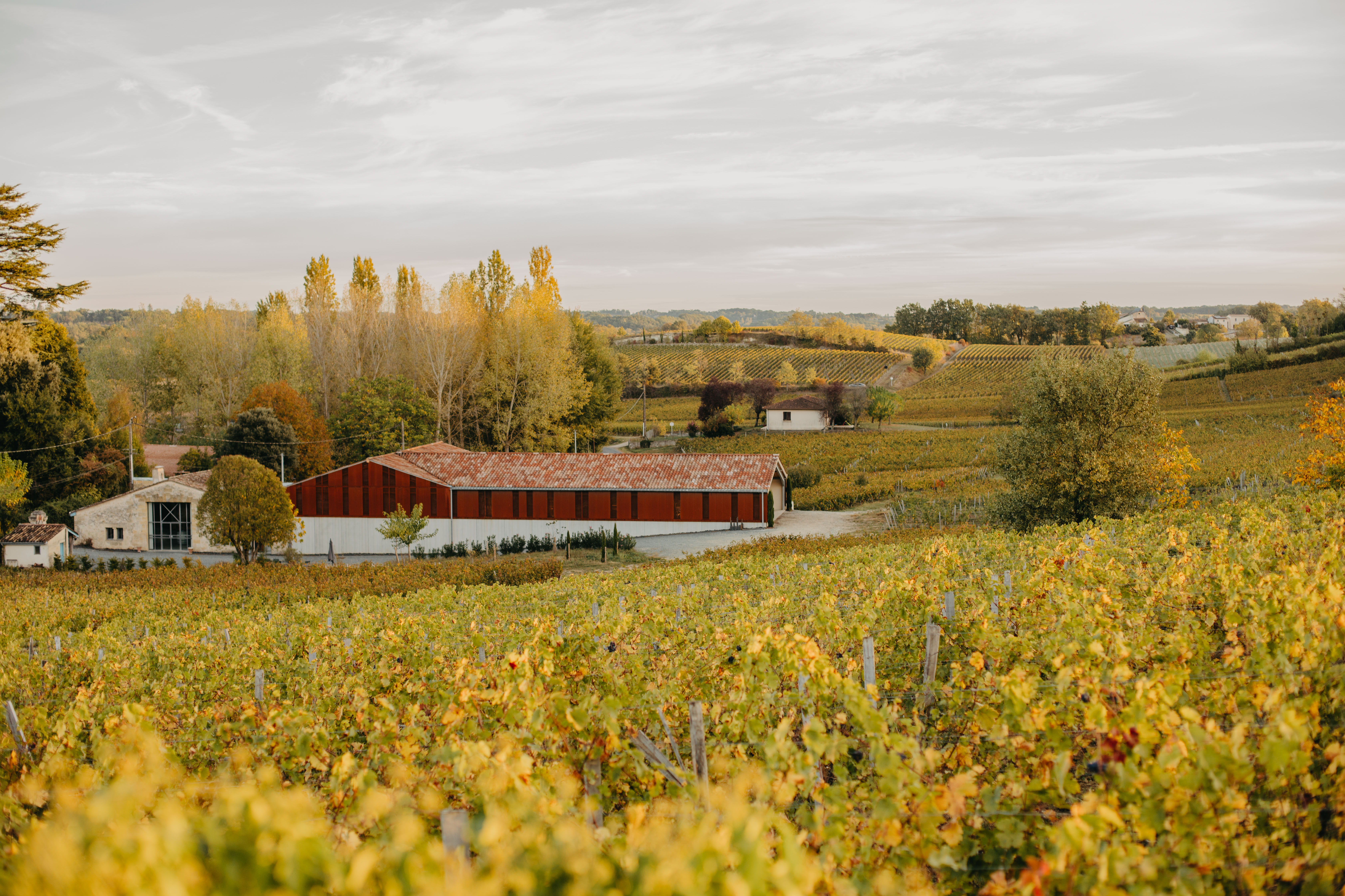 Château Rol Valentin - Saint-Émilion Grand Cru