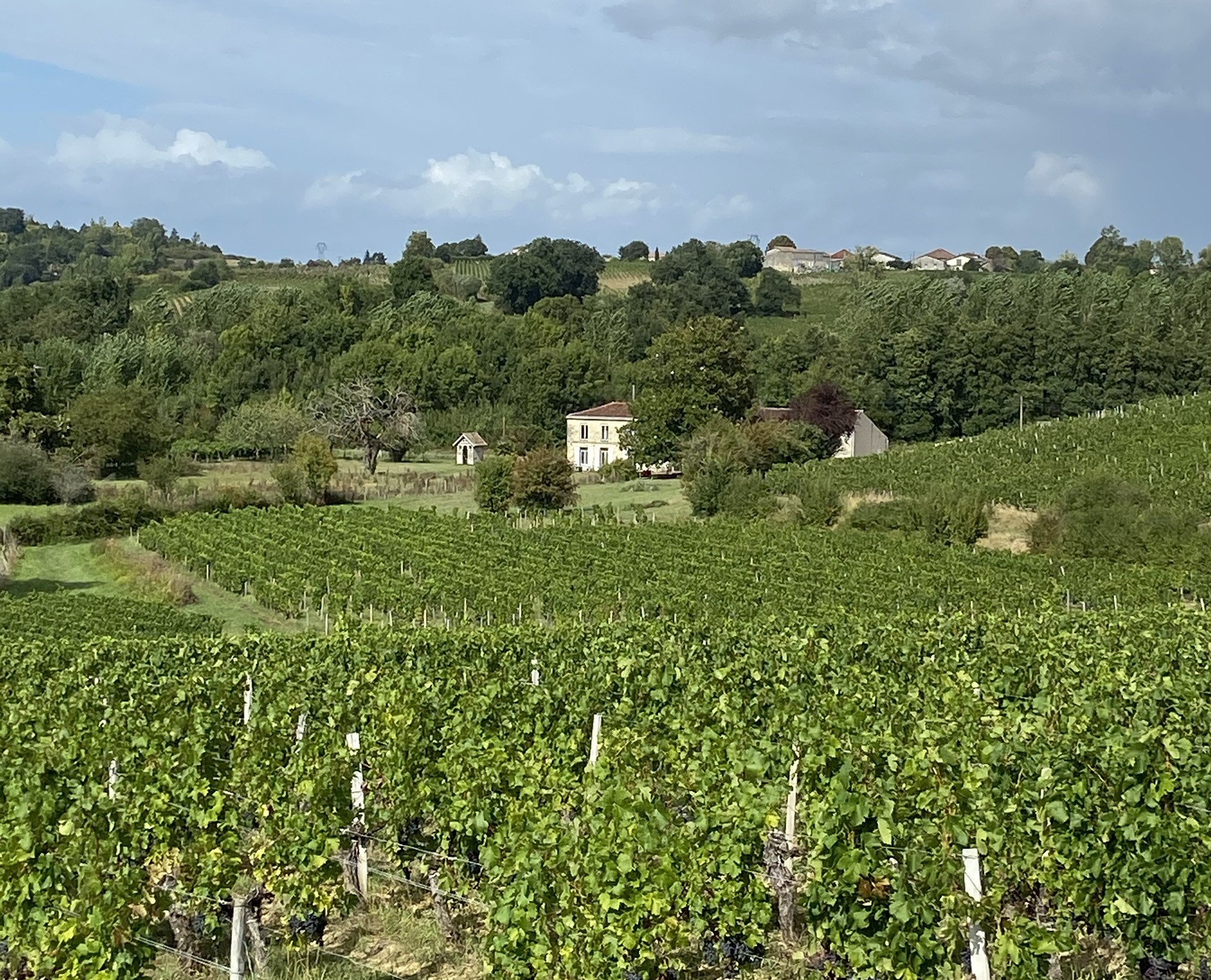 Château Camponac — photo 3