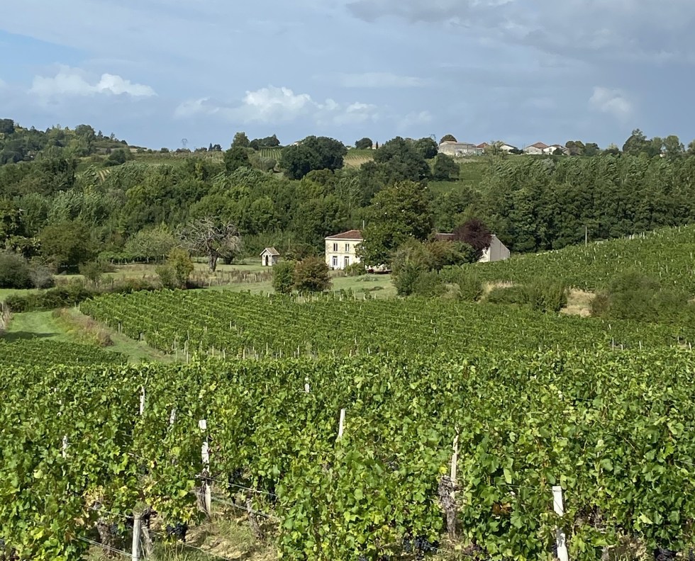 Château Camponac — photo 2