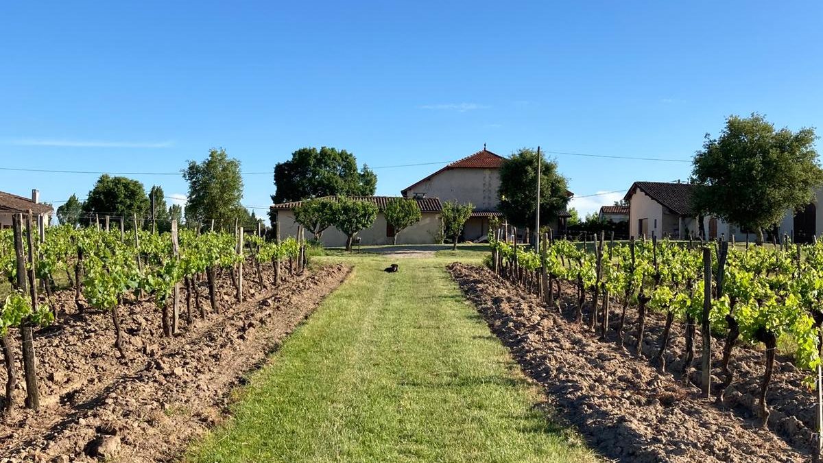 Château Vilatte - Bordeaux