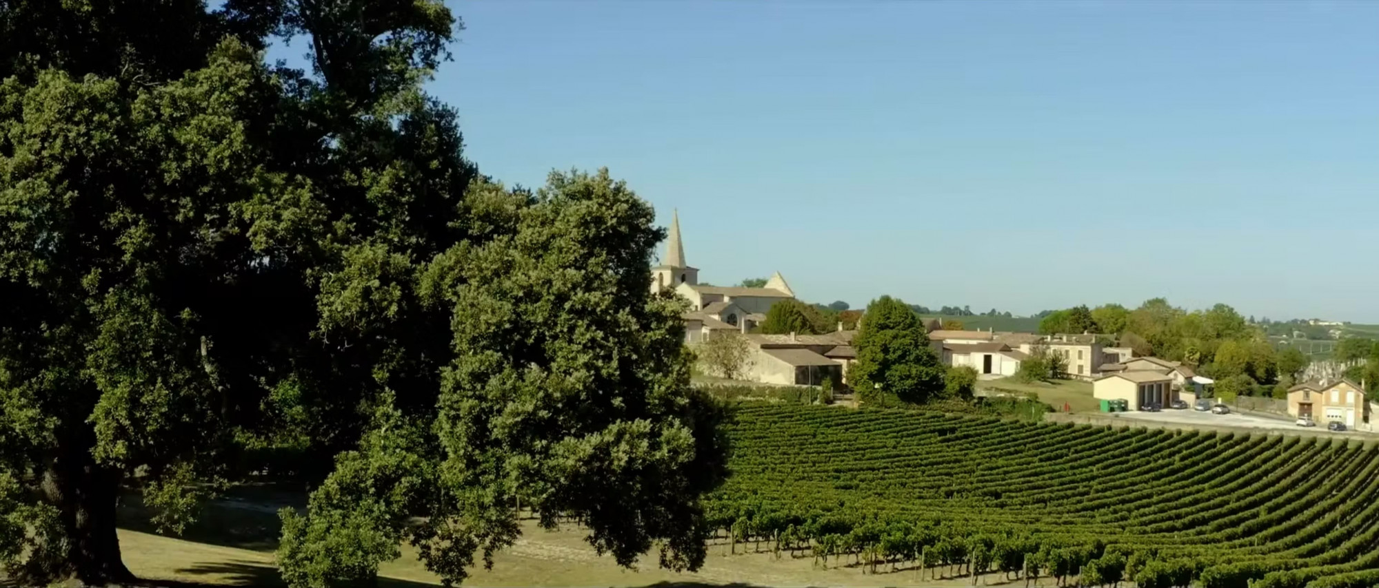 Château Puynard - Blaye Côtes de Bordeaux